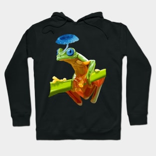 Mushroom Frog Hoodie